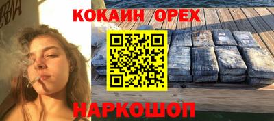 крисы Гагарин