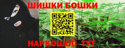 крисы Гагарин