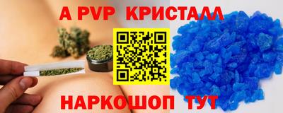 крисы Гагарин