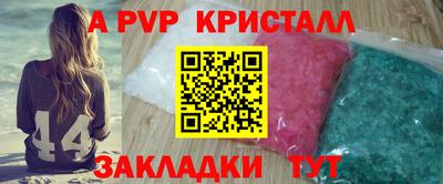 крисы Гагарин