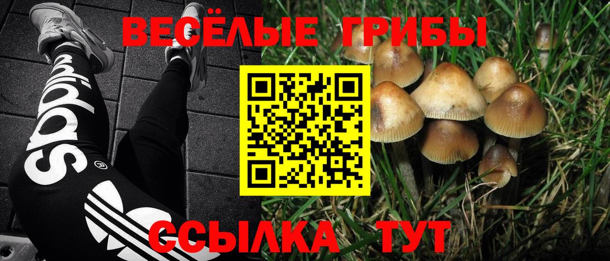 Галлюциногенные грибы ЛСД  купить наркотик  Вход с VPN  Октябрьский  Псилоцибиновые грибы Magic Shrooms 